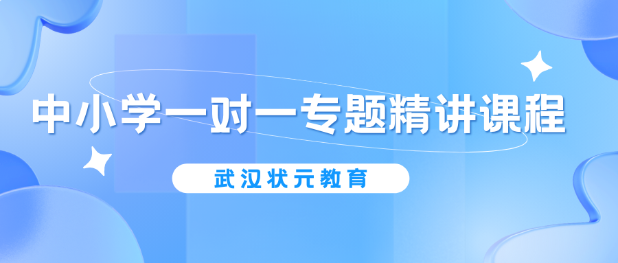 中小学一对一专题精讲课程