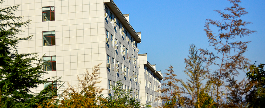 教学楼