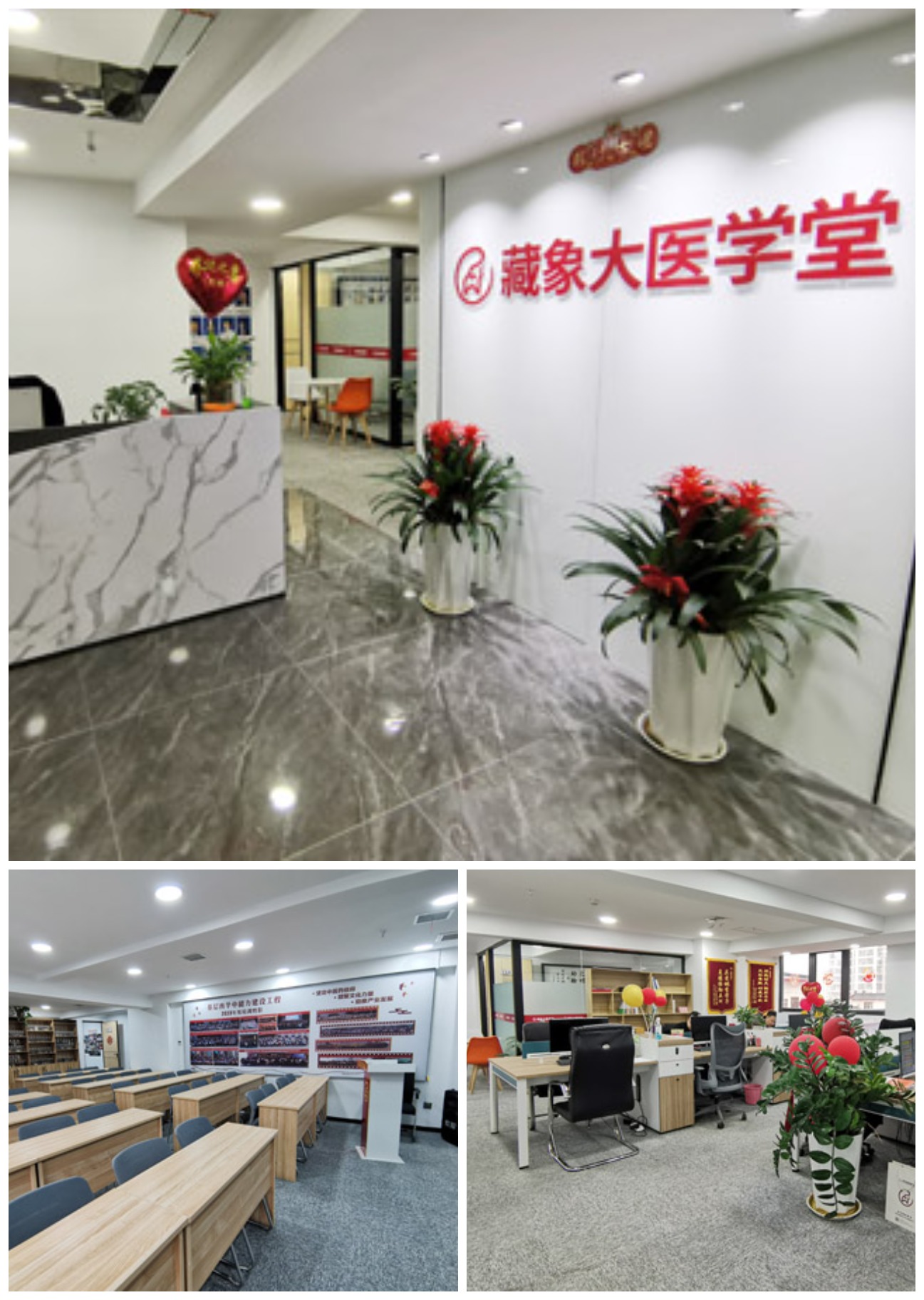 藏象教育—环境